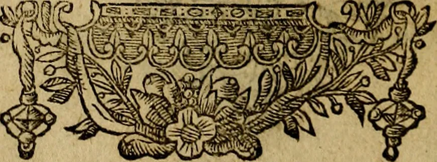 An illustration from Minerva Britanna Or A Garden Of Heroical Deuises, furnished, and adorned with Emblemes and Impresa's of sundry natures, 1612, leaf 189