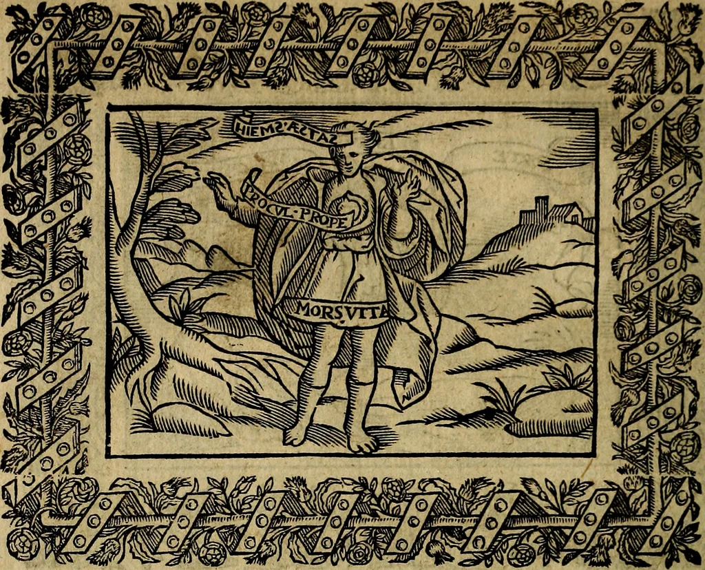 An illustration from Minerva Britanna Or A Garden Of Heroical Deuises, furnished, and adorned with Emblemes and Impresa's of sundry natures, 1612, leaf 205