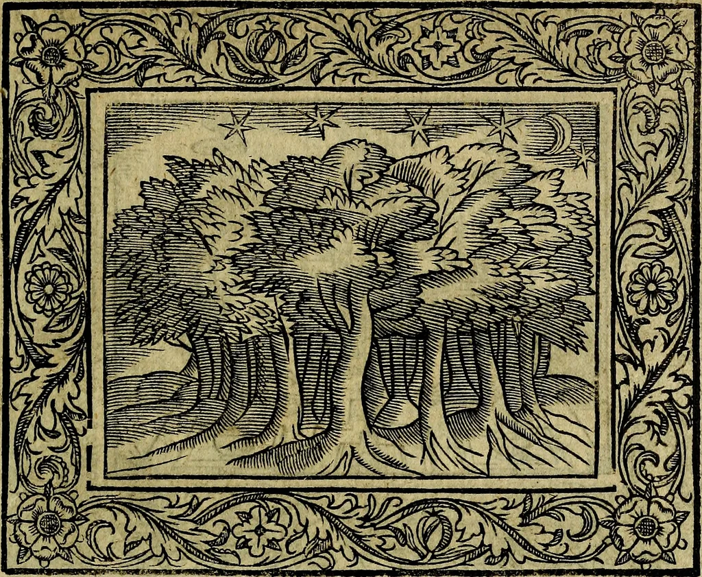 An illustration from Minerva Britanna Or A Garden Of Heroical Deuises, furnished, and adorned with Emblemes and Impresa's of sundry natures, 1612, leaf 206