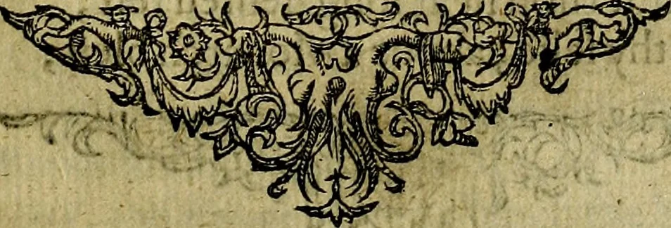 An illustration from Minerva Britanna Or A Garden Of Heroical Deuises, furnished, and adorned with Emblemes and Impresa's of sundry natures, 1612, leaf 208