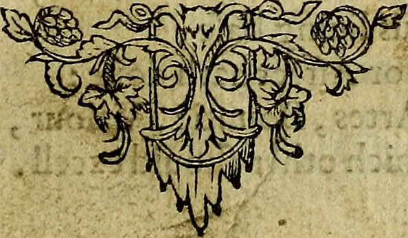 An illustration from Minerva Britanna Or A Garden Of Heroical Deuises, furnished, and adorned with Emblemes and Impresa's of sundry natures, 1612, leaf 222