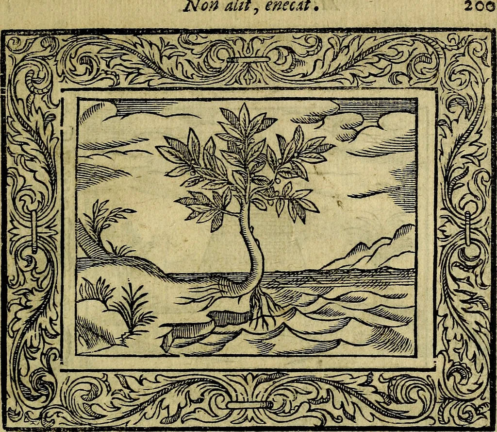 An illustration from Minerva Britanna Or A Garden Of Heroical Deuises, furnished, and adorned with Emblemes and Impresa's of sundry natures, 1612, leaf 224
