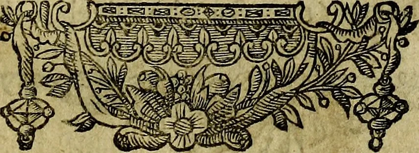 An illustration from Minerva Britanna Or A Garden Of Heroical Deuises, furnished, and adorned with Emblemes and Impresa's of sundry natures, 1612, leaf 226