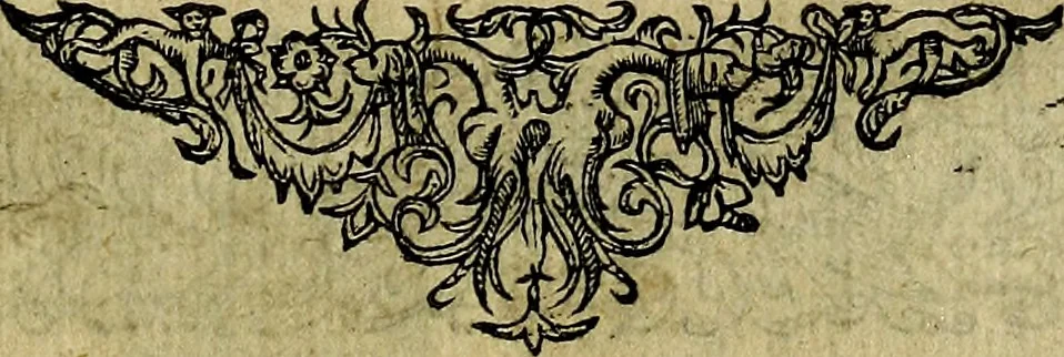 An illustration from Minerva Britanna Or A Garden Of Heroical Deuises, furnished, and adorned with Emblemes and Impresa's of sundry natures, 1612, leaf 228