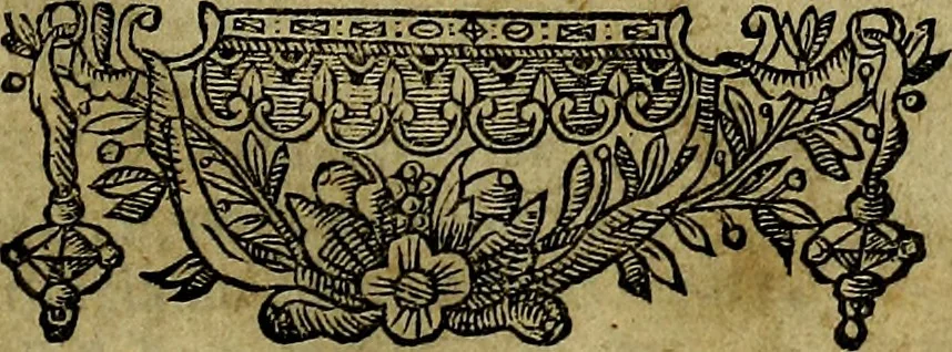An illustration from Minerva Britanna Or A Garden Of Heroical Deuises, furnished, and adorned with Emblemes and Impresa's of sundry natures, 1612, leaf 230