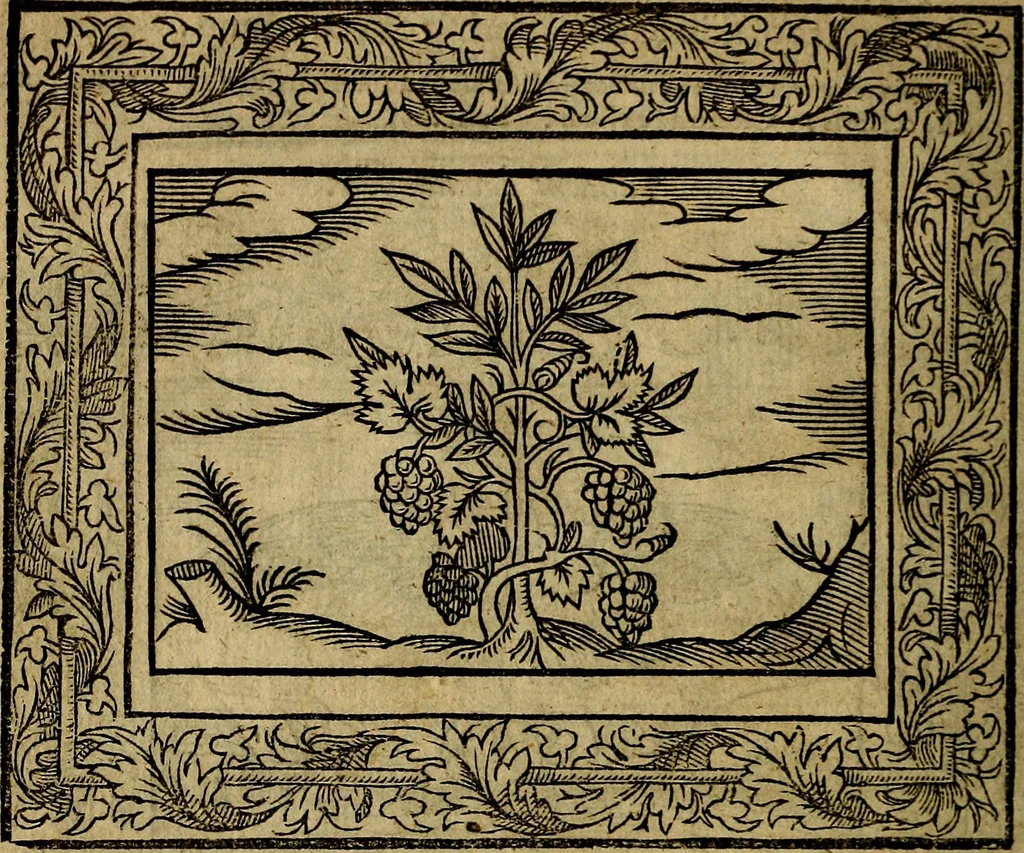 An illustration from Minerva Britanna Or A Garden Of Heroical Deuises, furnished, and adorned with Emblemes and Impresa's of sundry natures, 1612, leaf 59