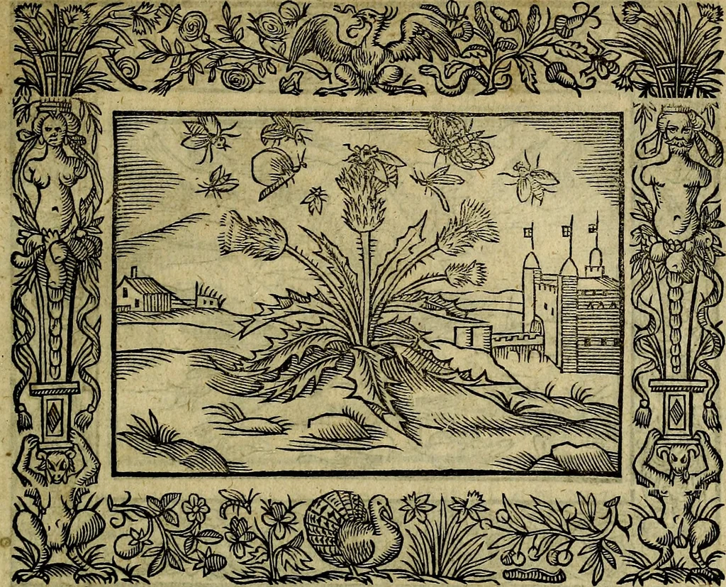 An illustration from Minerva Britanna Or A Garden Of Heroical Deuises, furnished, and adorned with Emblemes and Impresa's of sundry natures, 1612, leaf 70
