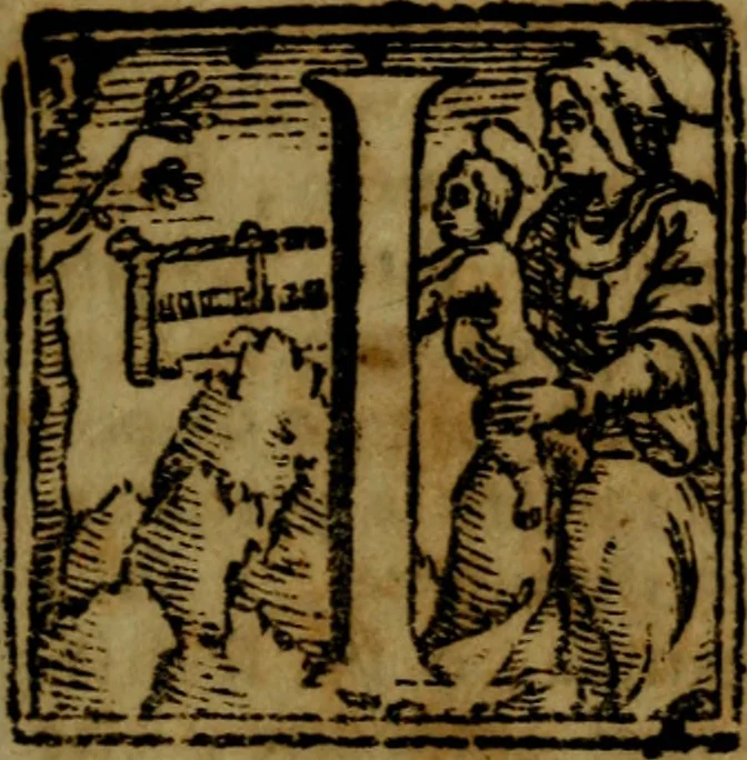 An illustration from Trattato di miniatura, per imparare facilmente a dipingere senza maestro : e la dichiarazione di molti segreti per fare i più bei colori, colla maniera di far l'oro brunito, l'oro in conchiglie, e la vernice della China : quelli, che attendono allo studio delle fortificazioni, impareranno qui a miniare ogni sorta di pianta e di paese, 1758, leaf 10