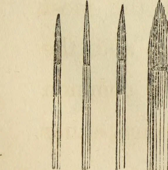 An illustration from The miniature painter's manual containing progressive lessons on the art of drawing and painting likenesses from life on card-board, vellum, and ivory, with concise remarks on the delineation of character and caricature, 1844, leaf 14