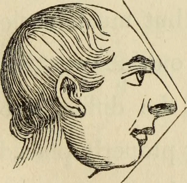 An illustration from The miniature painter's manual containing progressive lessons on the art of drawing and painting likenesses from life on card-board, vellum, and ivory, with concise remarks on the delineation of character and caricature, 1844, leaf 16