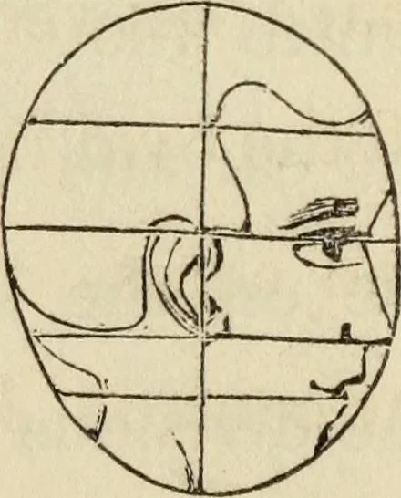 An illustration from The miniature painter's manual containing progressive lessons on the art of drawing and painting likenesses from life on card-board, vellum, and ivory, with concise remarks on the delineation of character and caricature, 1844, leaf 20