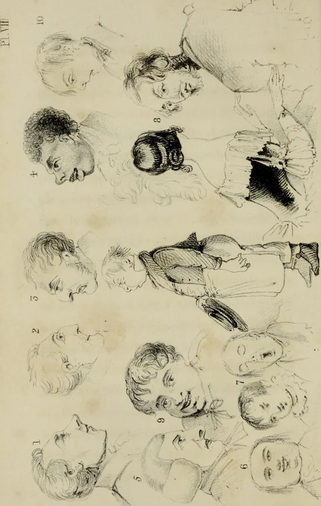 An illustration from The miniature painter's manual containing progressive lessons on the art of drawing and painting likenesses from life on card-board, vellum, and ivory, with concise remarks on the delineation of character and caricature, 1844, leaf 93