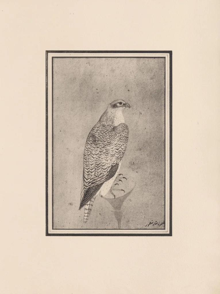 An illustration from Miniatures persanes : tirées des collections de MM. Henry d'Allemagne, Claude Anet, Henri Aubry..., 1913, leaf 387