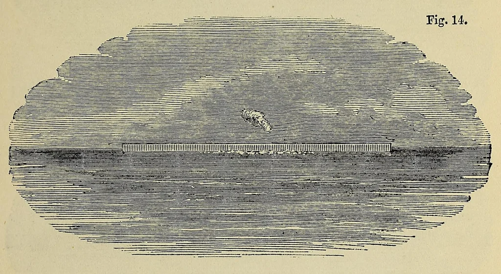 An illustration from Minutes of proceedings of the Royal Artillery Institution, 1858, leaf 55