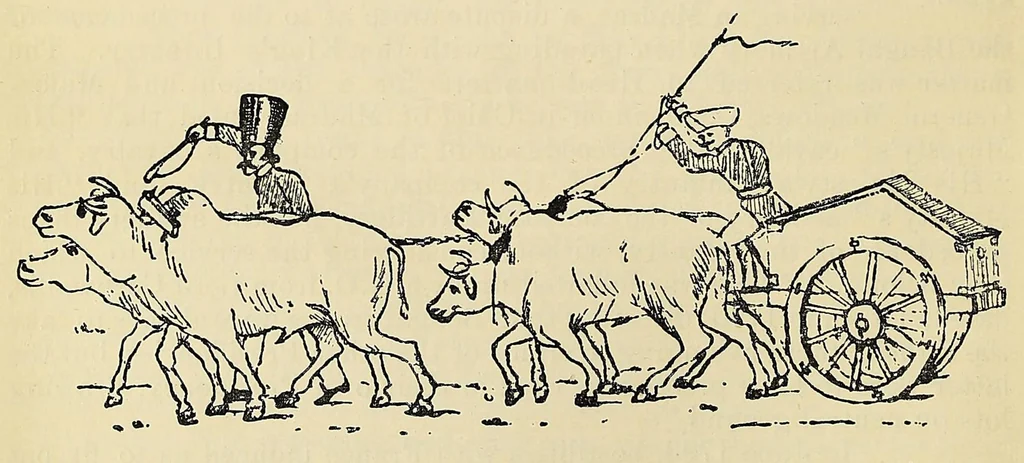 An illustration from Minutes of proceedings of the Royal Artillery Institution, 1858, leaf 24