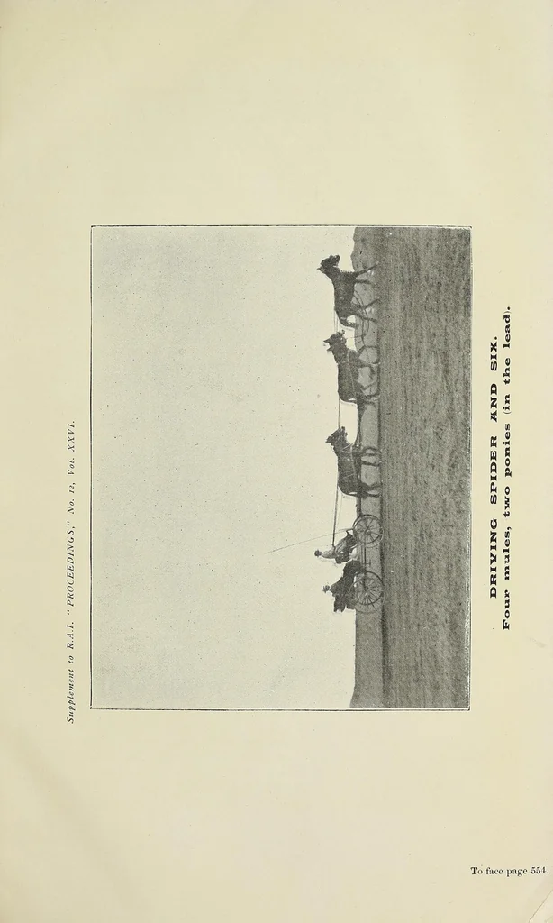 An illustration from Minutes of proceedings of the Royal Artillery Institution, 1858, leaf 669