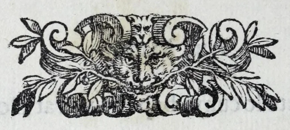An illustration from Miracoli della Sac.ma Vergine Maria : seguiti a benefitio di quelli che sono stati deuoti della Compagnia del Sant.mo Rosario, 1587, leaf 174