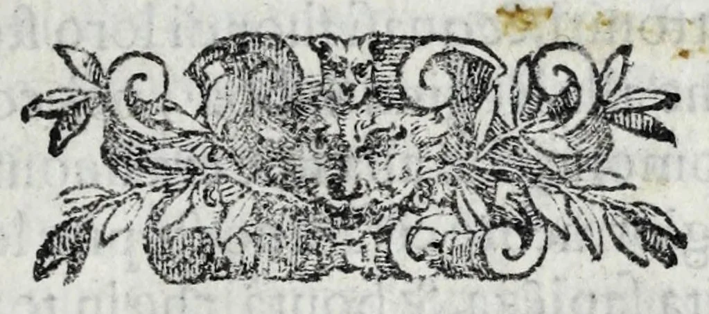 An illustration from Miracoli della Sac.ma Vergine Maria : seguiti a benefitio di quelli che sono stati deuoti della Compagnia del Sant.mo Rosario, 1587, leaf 233
