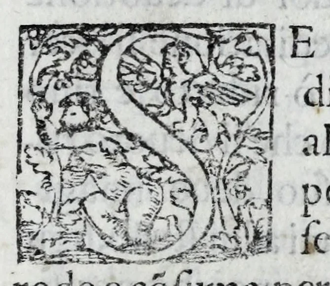 An illustration from Miracoli della Sac.ma Vergine Maria : seguiti a benefitio di quelli che sono stati deuoti della Compagnia del Sant.mo Rosario, 1587, leaf 31