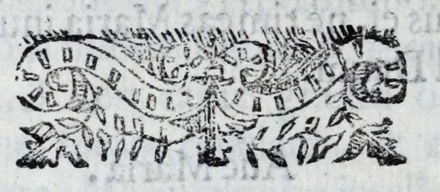 An illustration from Miracoli della Sac.ma Vergine Maria : seguiti a benefitio di quelli che sono stati deuoti della Compagnia del Sant.mo Rosario, 1587, leaf 48