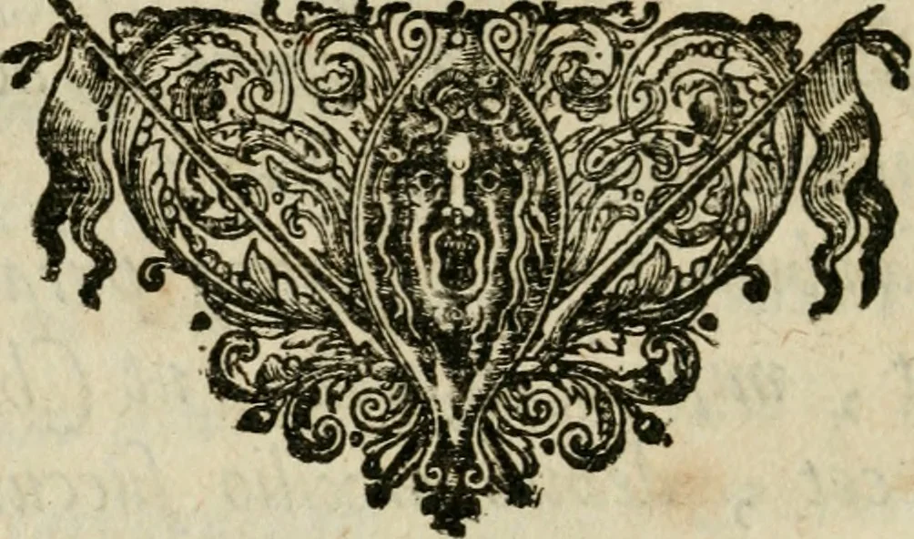 An illustration from Miraculum mundi, sive, Plena perfectaque descriptio admirabilis naturae, ac proprietatis potentissimi subiecti : ab antiquis menstruum universale sive mercurius philosophorum dicti : quo vegetabilia, animalia & mineralia facillime in saluberrima medicamenta & imperfecta metalla in permanentia ac perfecta transmutari possunt, 1653, leaf 199