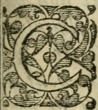 An illustration from Miraculum mundi, sive, Plena perfectaque descriptio admirabilis naturae, ac proprietatis potentissimi subiecti : ab antiquis menstruum universale sive mercurius philosophorum dicti : quo vegetabilia, animalia & mineralia facillime in saluberrima medicamenta & imperfecta metalla in permanentia ac perfecta transmutari possunt, 1653, leaf 4