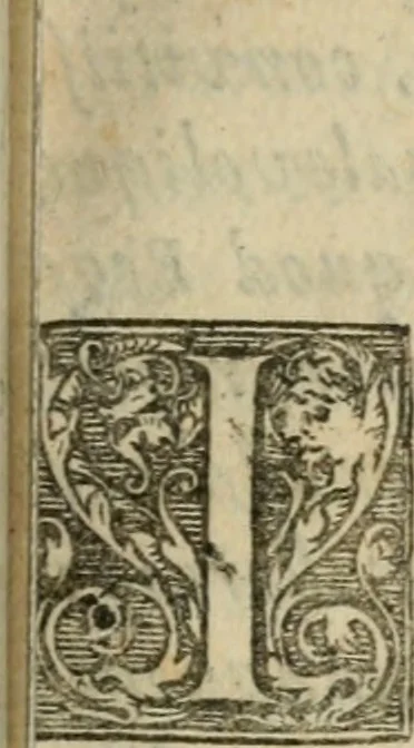 An illustration from Miraculum mundi, sive, Plena perfectaque descriptio admirabilis naturae, ac proprietatis potentissimi subiecti : ab antiquis menstruum universale sive mercurius philosophorum dicti : quo vegetabilia, animalia & mineralia facillime in saluberrima medicamenta & imperfecta metalla in permanentia ac perfecta transmutari possunt, 1653, leaf 92