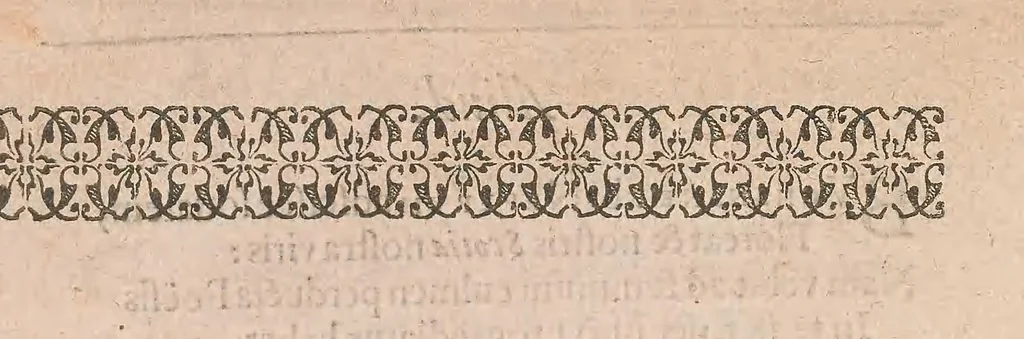 An illustration from Mirifici logarithmorum canonis descriptio, ejusque usus, in utraque trigonometria; ut etiam in omni logistica mathematica, amplissimi, facillimi, & expeditissimi explicatio, 1614, leaf 16