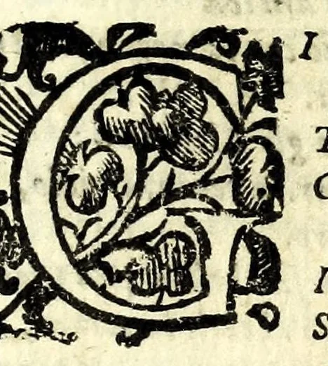 An illustration from Mirinda : favola pastorale, 1619, leaf 7