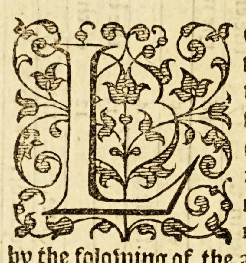 An illustration from A mirror for mathematiques: : a golden gem for geometricians: a sure safety for saylers, and an auncient antiquary for astronomers and astrologians. Contayning also an order howe to make an astronimicall instrument, called the astrolab, vvith the vse thereof. Also a playne and most easie instruction for erection of a figure for the 12. houses of the heauens. A work most profitable for all such as are students in astrenomie, & geometrie, and generally most necessarie for all learners in mathematicall artes. The contents of which booke you shall find in the next page., 1587, leaf 38