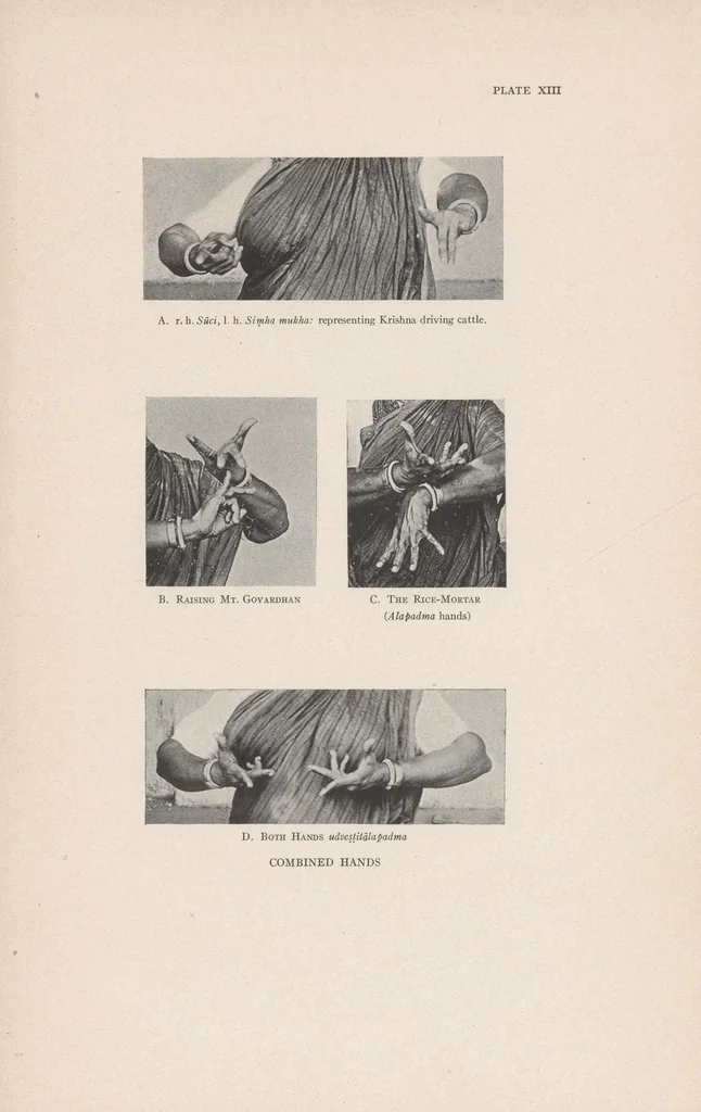 An illustration from The mirror of gesture : being the Abhinaya darpana of Nandikeśvara, 1917, leaf 101