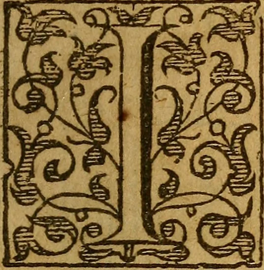 An illustration from The mirror of alchimy, 1597, leaf 8