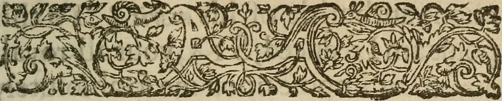 An illustration from The mirrour which flatters not., 1639, leaf 12