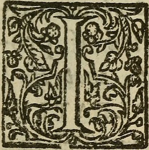 An illustration from The mirrour which flatters not., 1639, leaf 16