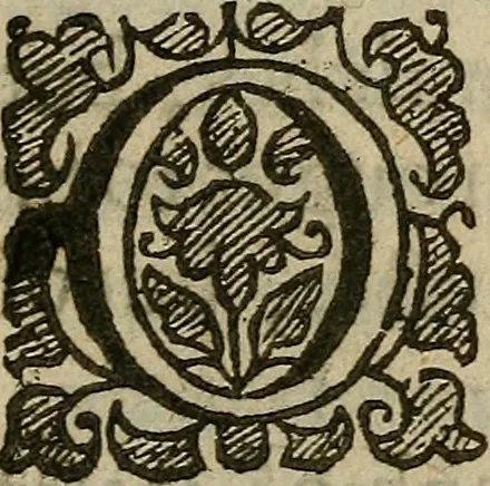 An illustration from The mirrour which flatters not., 1639, leaf 166