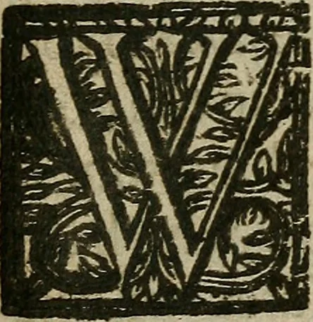 An illustration from The mirrour which flatters not., 1639, leaf 224