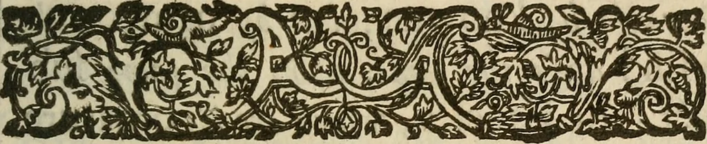 An illustration from The mirrour which flatters not., 1639, leaf 28