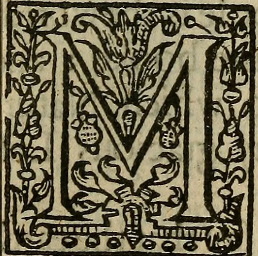 An illustration from The mirrour which flatters not., 1639, leaf 40