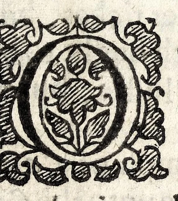 An illustration from The mirrour which flatters not : dedicated to their Maiesties of Great Britaine, 1639, leaf 165