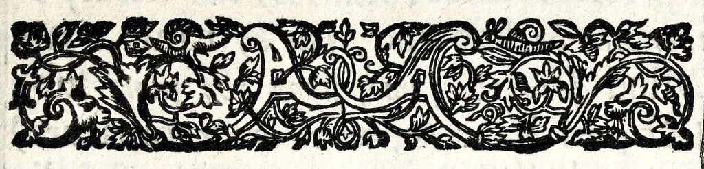 An illustration from The mirrour which flatters not : dedicated to their Maiesties of Great Britaine, 1639, leaf 27