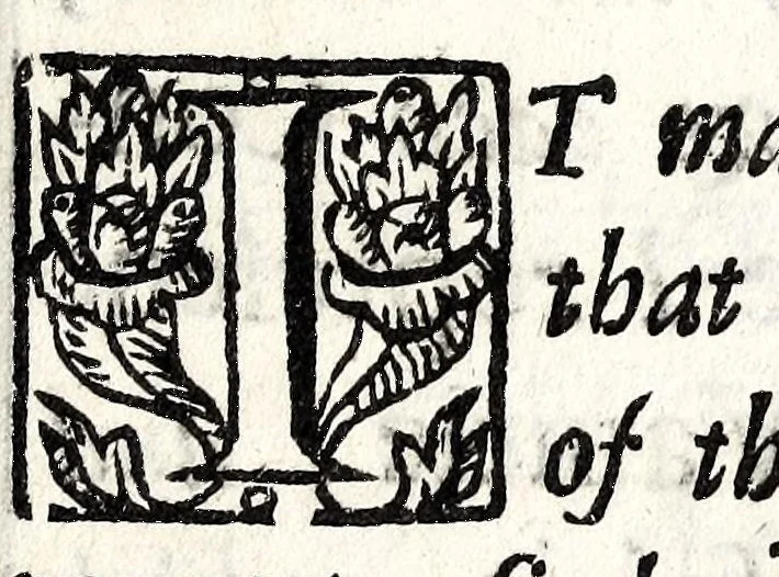 An illustration from The mirrour which flatters not : dedicated to their Maiesties of Great Britaine, 1639, leaf 27