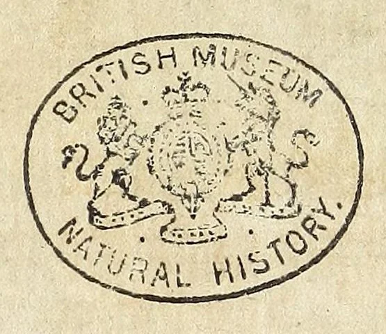 An illustration from Miscellanea Curiosa, sive Ephemiridum Medico-Physicarum Germanicarum Academiae Naturae Curiosorum, 1692, leaf 90