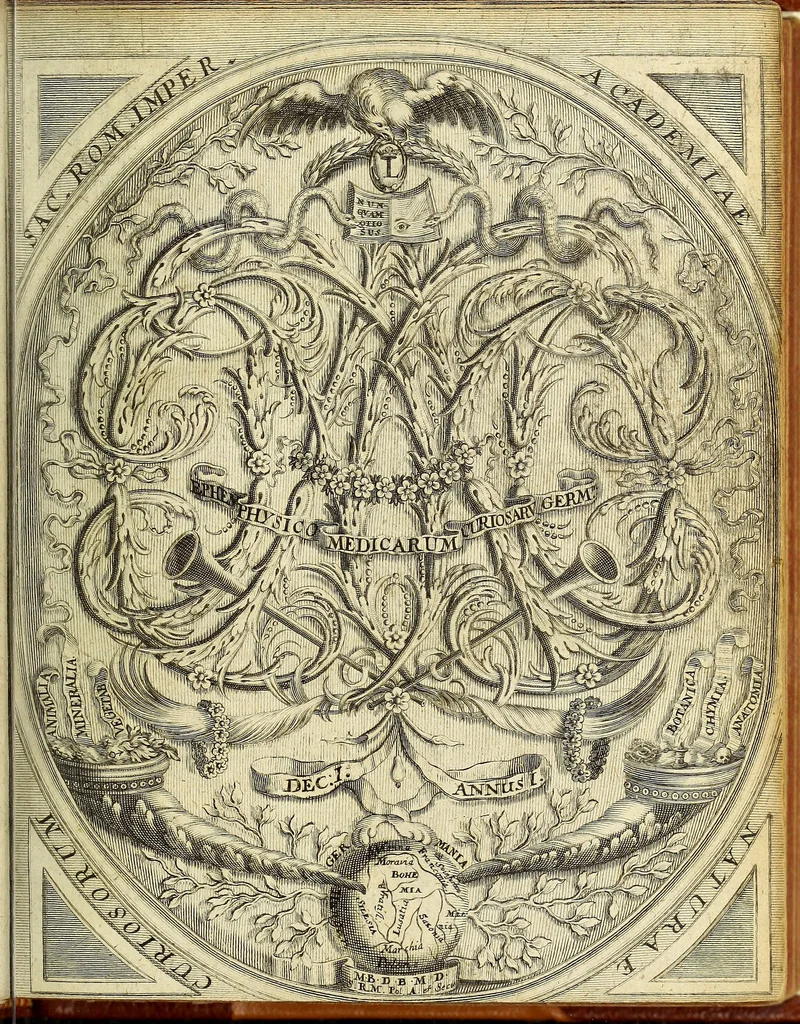 An illustration from Miscellanea Curiosa Medico-Physica Academiae Naturae Curiosorum, 1670, leaf 12