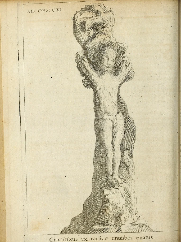An illustration from Miscellanea Curiosa Medico-Physica Academiae Naturae Curiosorum, 1670, leaf 315