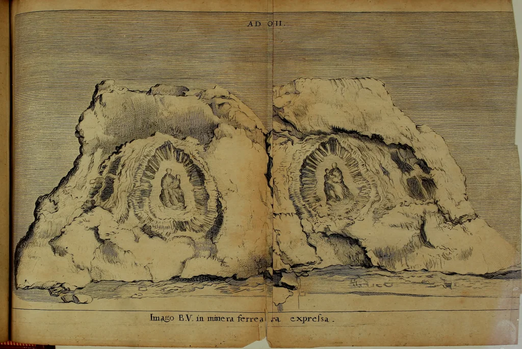 An illustration from Miscellanea Curiosa Medico-Physica Academiae Naturae Curiosorum, 1670, leaf 322