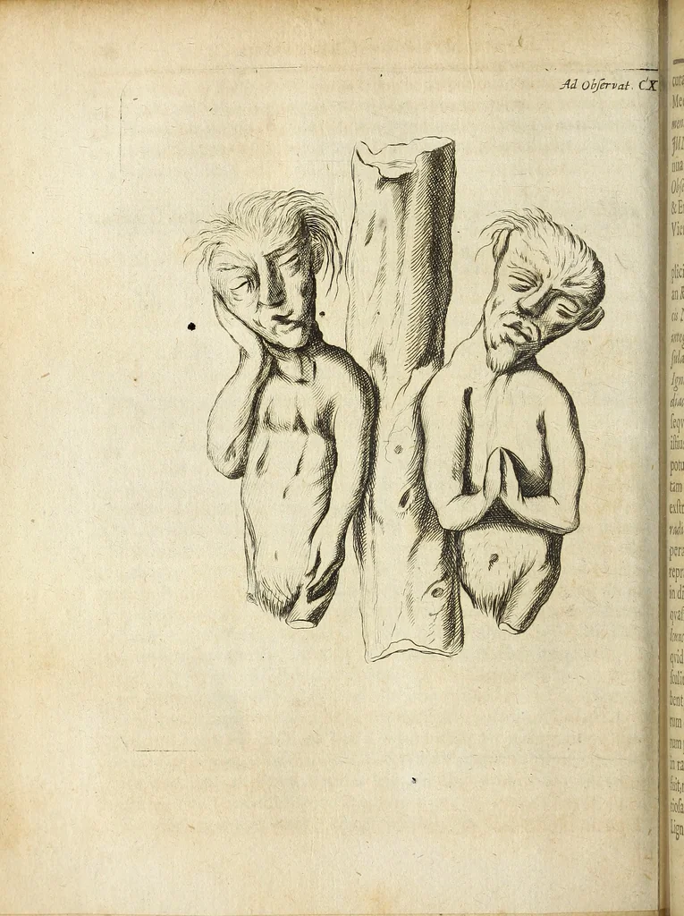 An illustration from Miscellanea Curiosa Medico-Physica Academiae Naturae Curiosorum, 1670, leaf 333