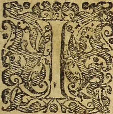 An illustration from Miscellanea Curiosa Medico-Physica Academiae Naturae Curiosorum, 1670, leaf 414