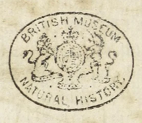 An illustration from Miscellanea Curiosa, sive Ephemiridum Medico-Physicarum Germanicarum Academiae Naturae Curiosorum, 1683, leaf 196