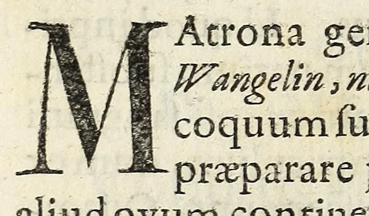 An illustration from Miscellanea Curiosa, sive Ephemiridum Medico-Physicarum Germanicarum Academiae Naturae Curiosorum, 1683, leaf 212