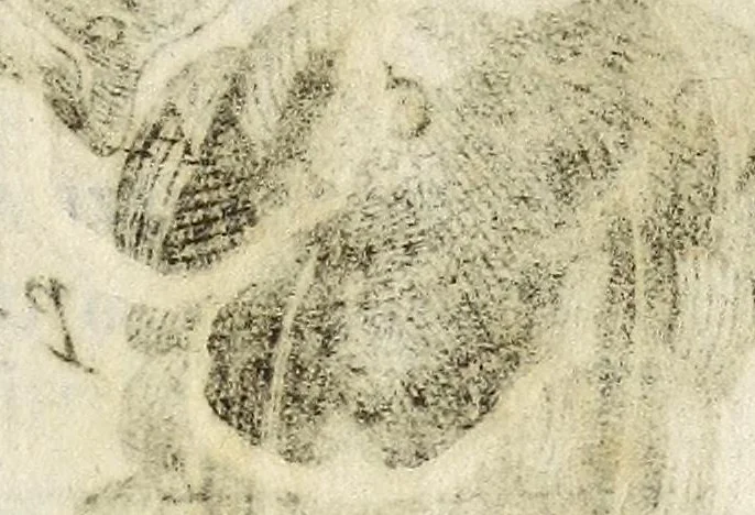 An illustration from Miscellanea Curiosa, sive Ephemiridum Medico-Physicarum Germanicarum Academiae Naturae Curiosorum, 1683, leaf 303